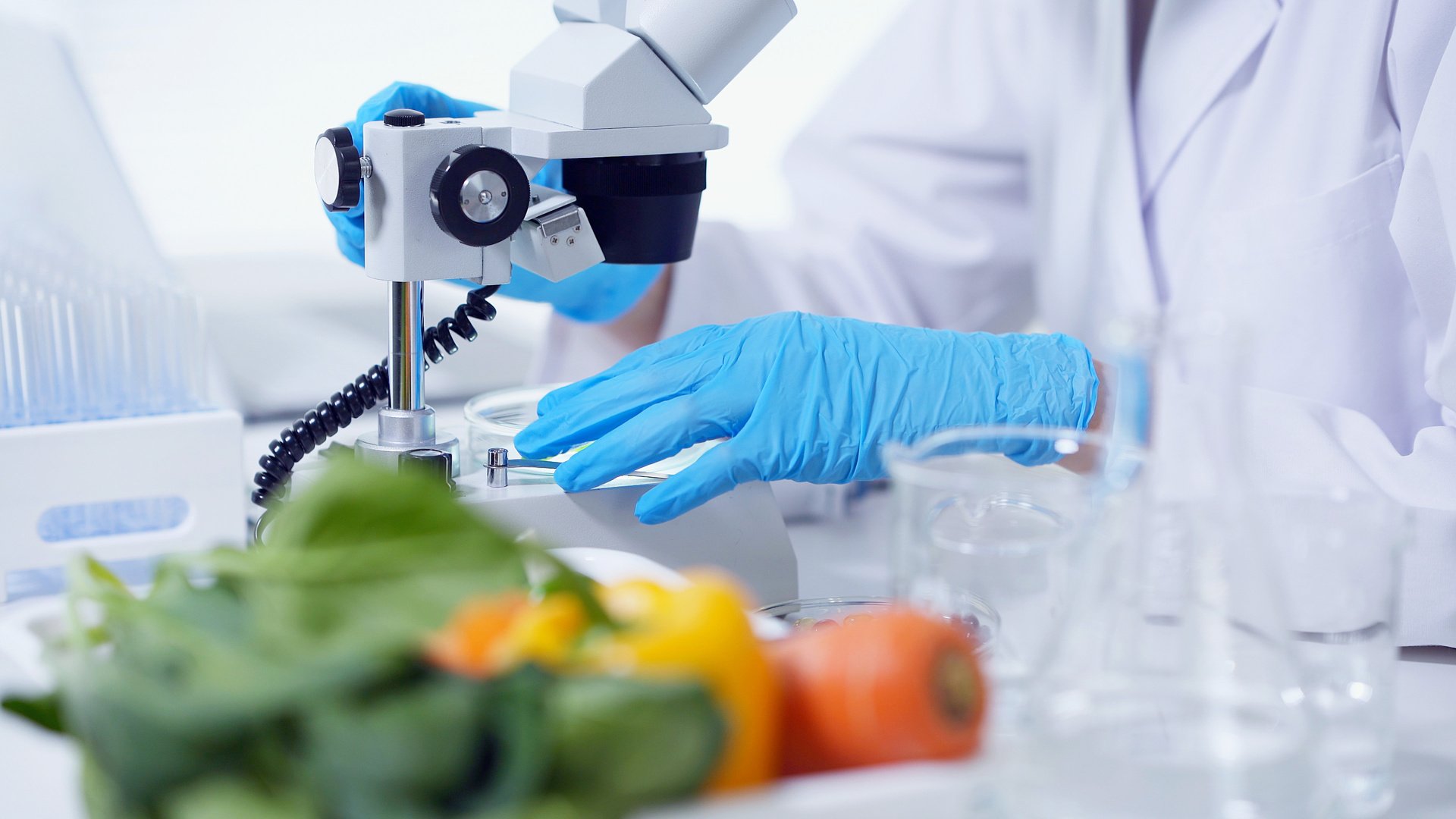 Biotechnology concept. Food tech. Nutritional science.